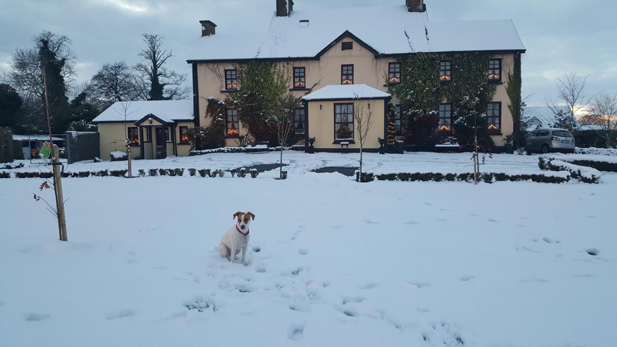 Charlotte'S Way B&B Banagher Eksteriør billede
