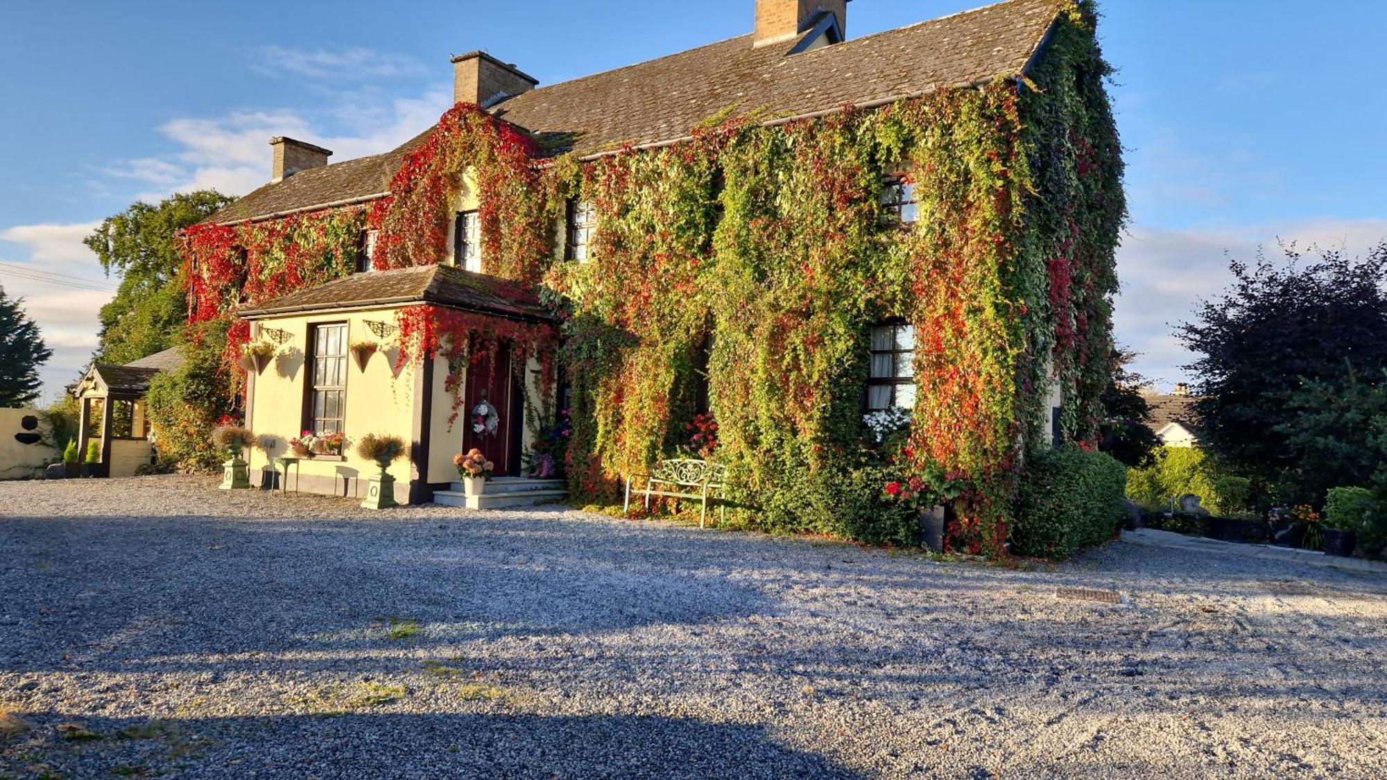 Charlotte'S Way B&B Banagher Eksteriør billede